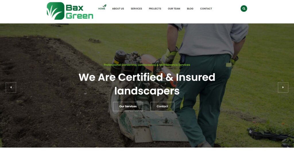 baxgreen web